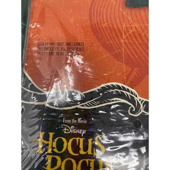 Disguise Adult Disney Hocus Pocus Winifred Mary Sarah Costume Hooded Cape OS - Picture 4 of 16